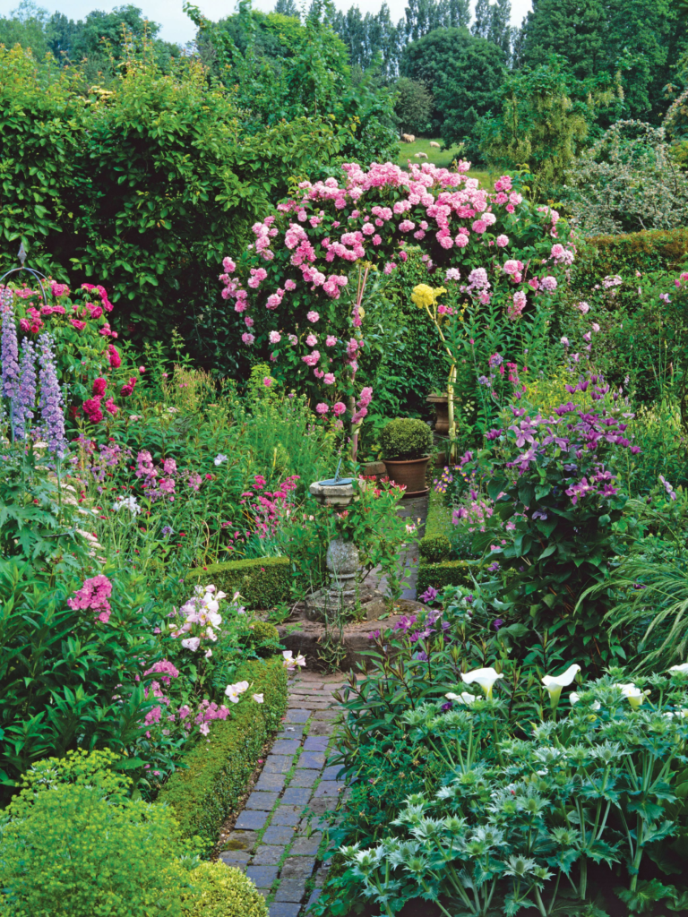 The Bottom of the Garden image. Nostalgic overgrown lush garden